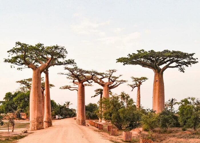 5 clés pour bien choisir un Tour opérateur à Madagascar