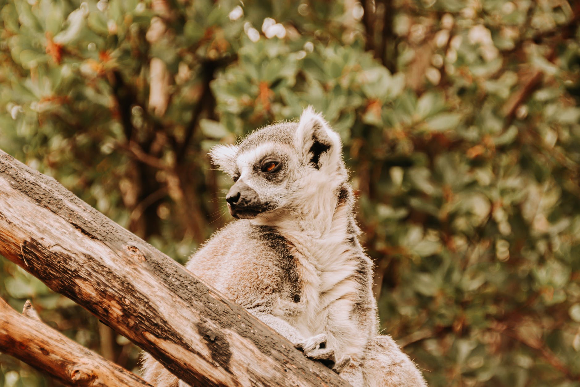 Se préparer pour un séjour à Madagascar : les conseils